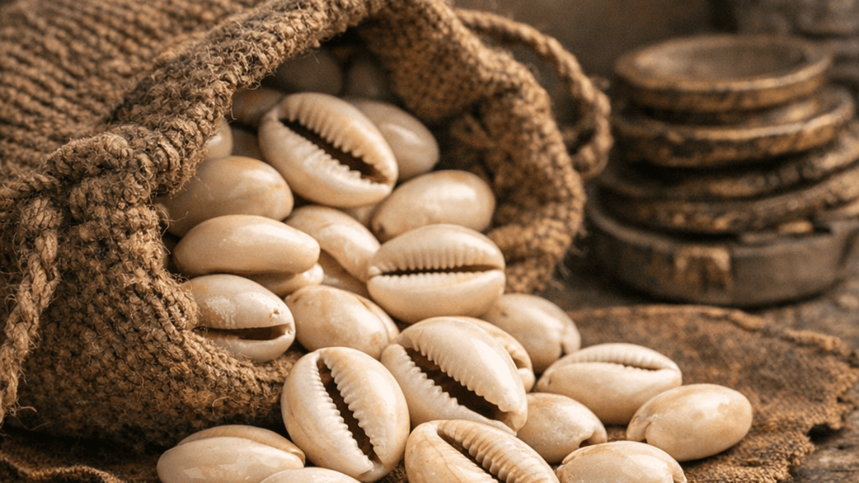 Why Cowries Were Once Currency in Africa